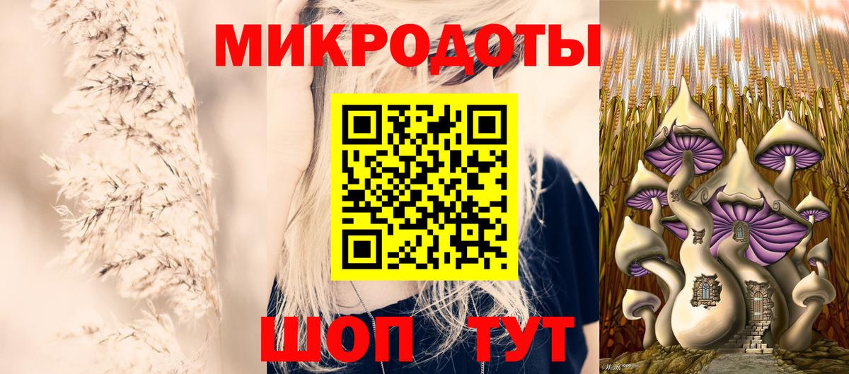 Псилоцибиновые грибы прущие грибы Соль-Илецк