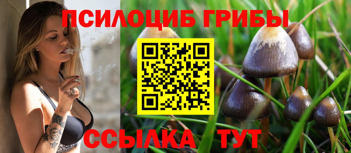 цена   Вход с VPN  Соль-Илецк  Галлюциногенные грибы MAGIC MUSHROOMS 